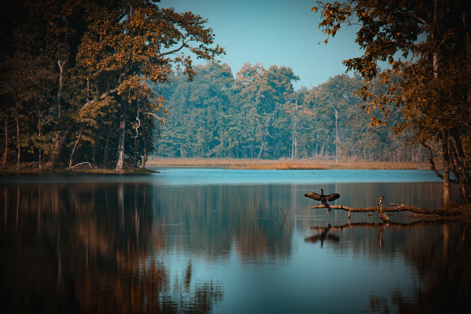Things to Do in Chitwan: Your Complete Safari Adventure Guide